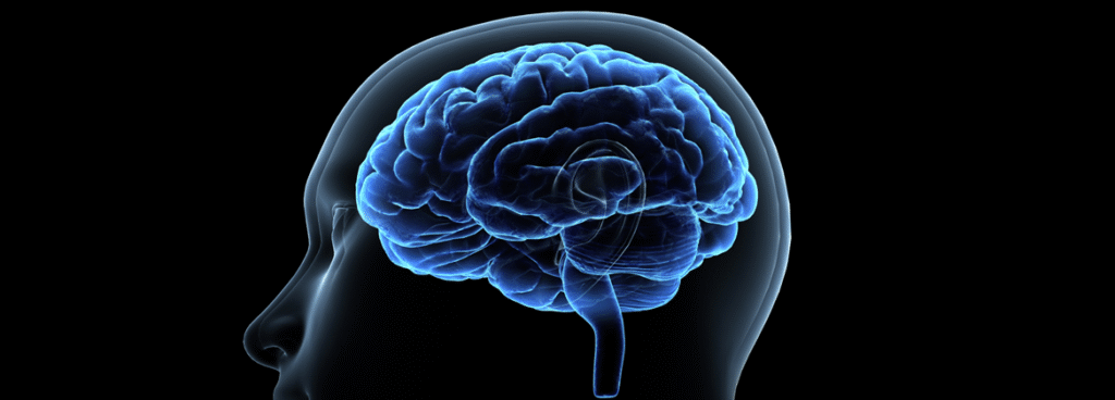 Dialog z neuronami: Jak duet TMS i EEG odmienia nowoczesną neuroterapię